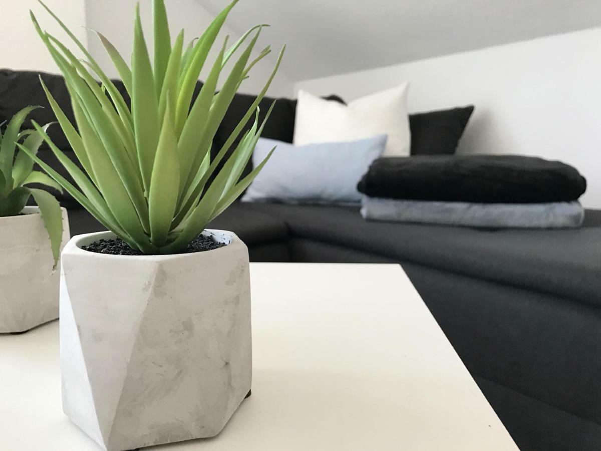 Zollernalb-Apartment アルプシュタット エクステリア 写真